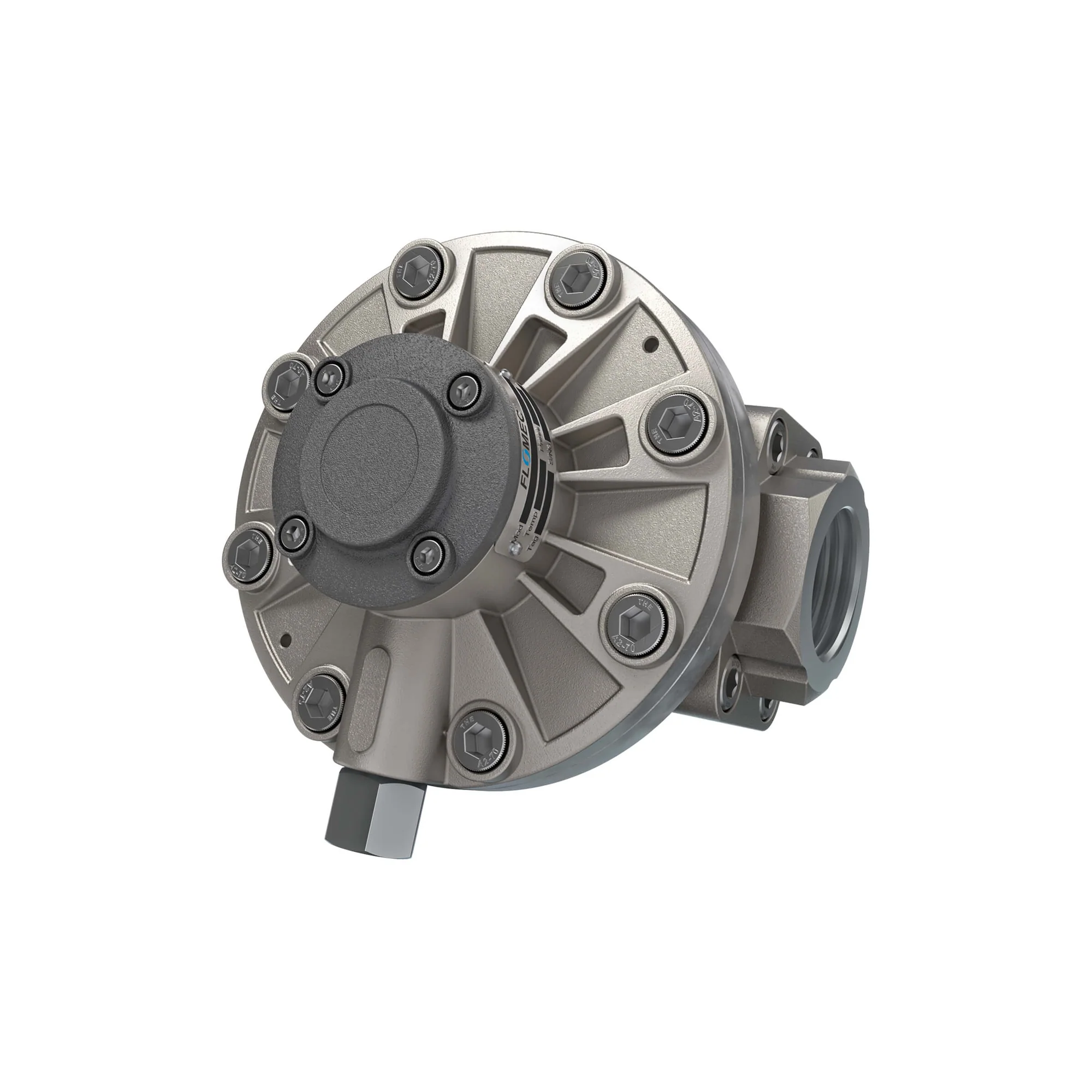 Oval Gear Flow Meter, SS Body, 4-66 GPM, 435 PSI