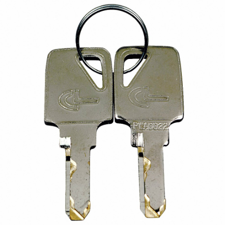 GRAINGER MH49Y09922G Workstation Key, 1 PR | CQ2MBA 31MK18