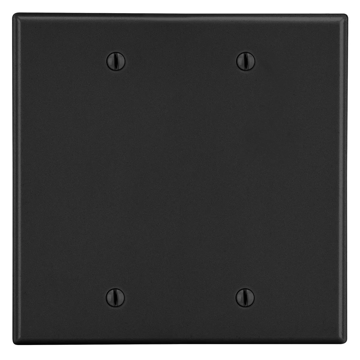Wallplate, 2-Gang, 2 Box Mount Blank, Black