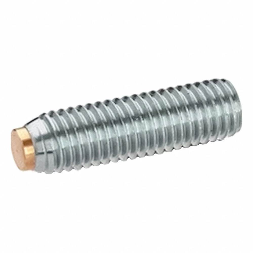 Set Screw with Brass Tip, Stainless Steel, Brass Tip, M6 Thread Size, 16 mm Fastener Lg
