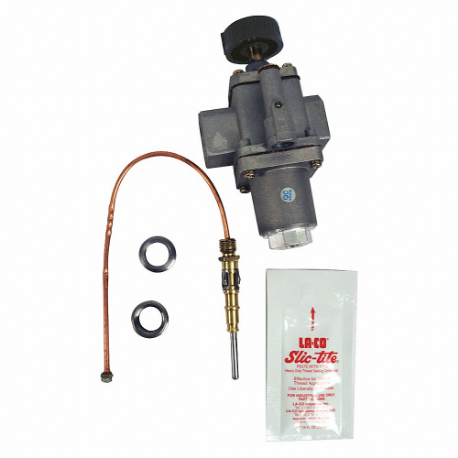 LB WHITE 571558 Valve, Pilot Safety Control, Mfr. No. 22250, For 16W293, For CV100BZND120095 | CR8NMM 43JJ23