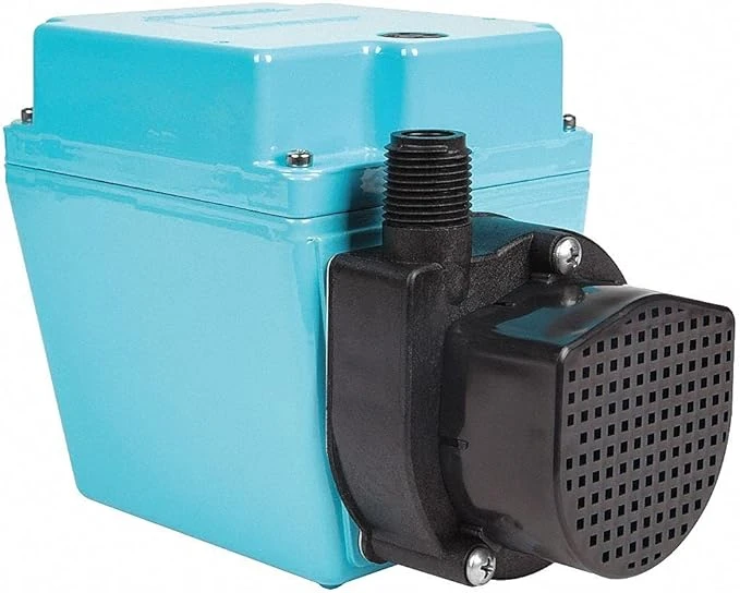 LITTLE GIANT PUMPS 504216 Submersible Pump, 1/12 Hp, 230V, Cord 12 Feet Length | BR9MBB