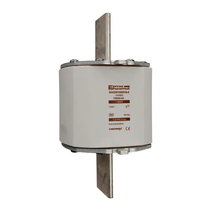 MERSEN FERRAZ B1029067