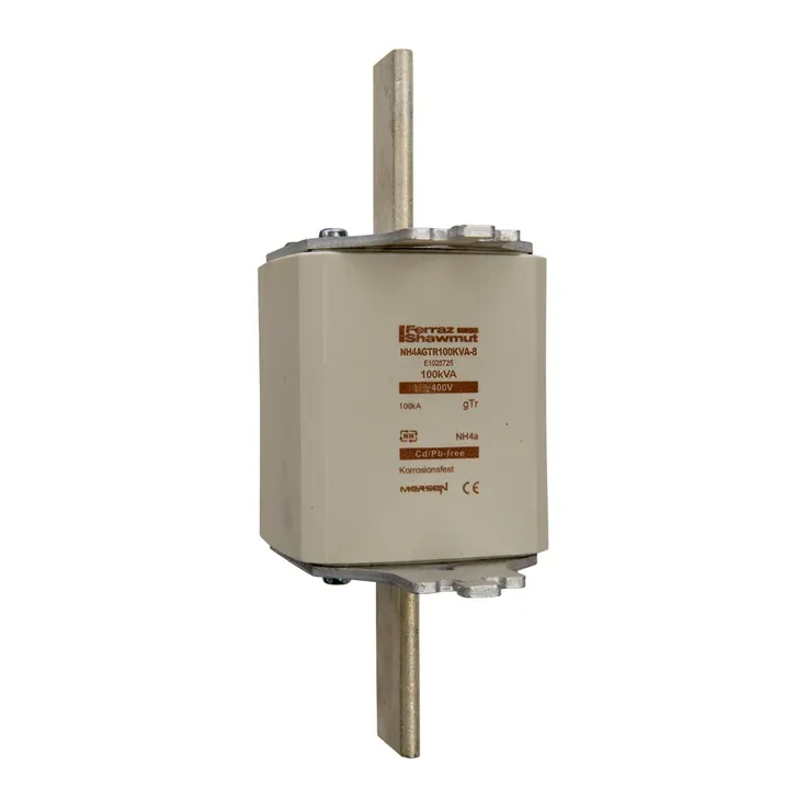 MERSEN FERRAZ E1028725