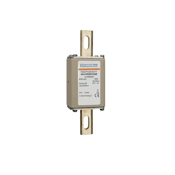 MERSEN FERRAZ H1069093