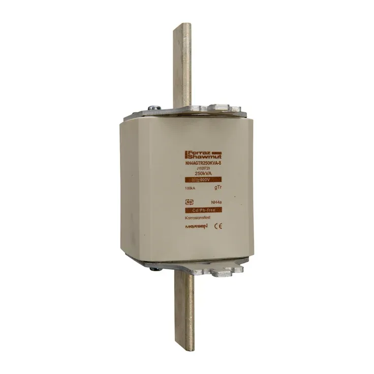 MERSEN FERRAZ J1028729