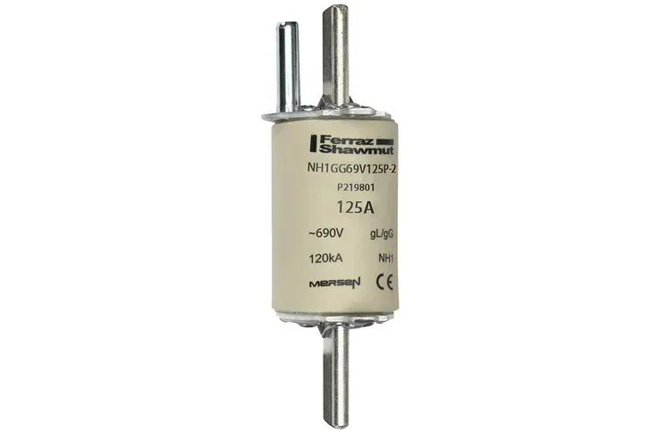 MERSEN FERRAZ P219801