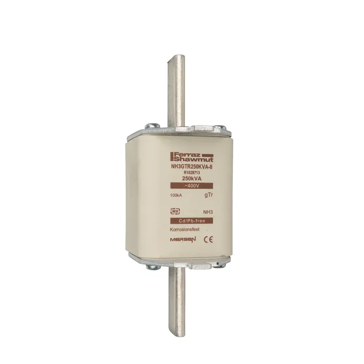 MERSEN FERRAZ R1028713A