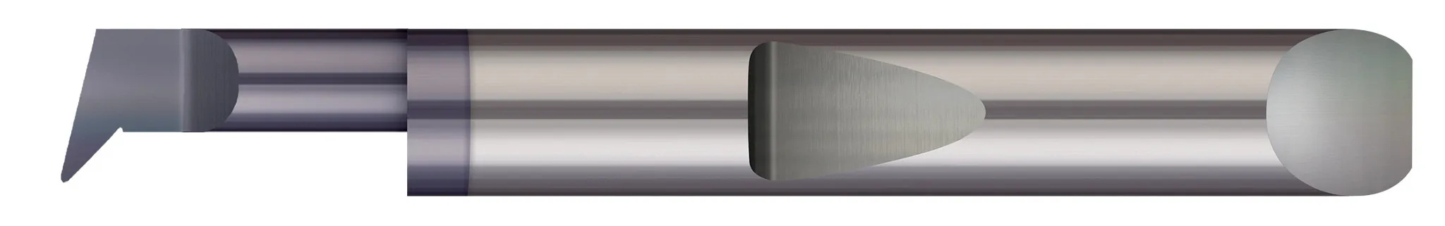 MICRO 100 qpa2-080300x