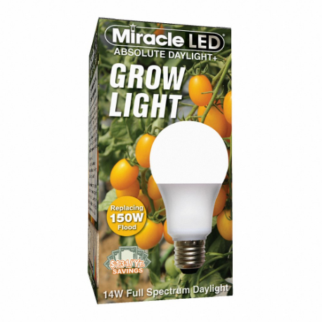MIRACLE LED 601820
