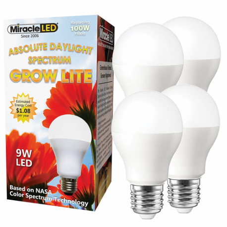 MIRACLE LED 601835
