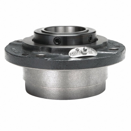 MOLINE BEARING 19331304
