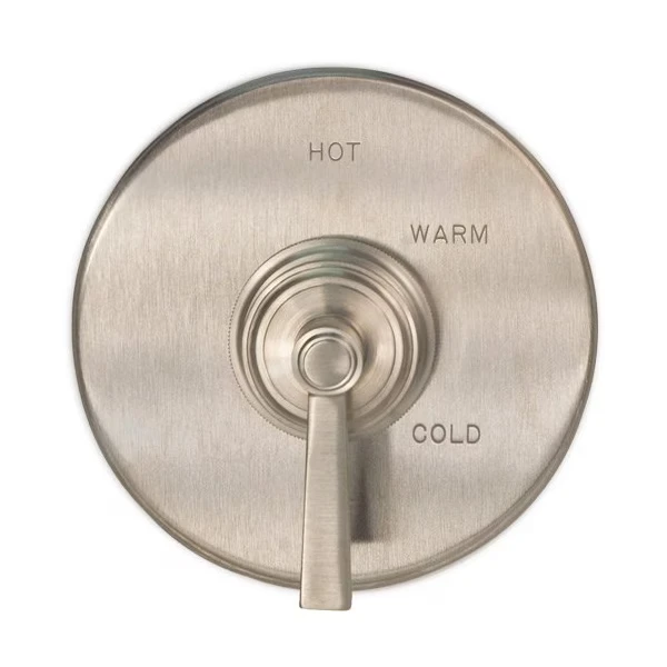 Shower Trim Plate W/ Handle. Less Showerhead, Arm And Flange, Nickel