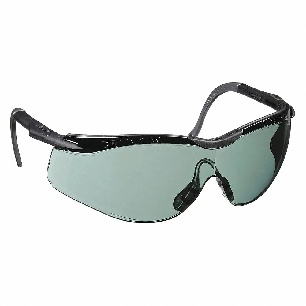 Glasses Blk/Gry Fr Smoke