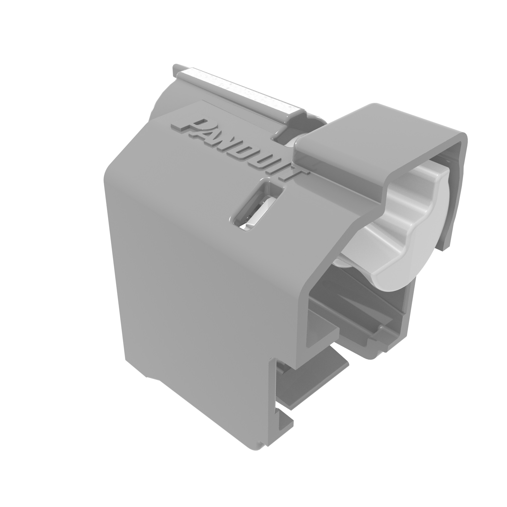 RJ-45 Lock-In Device, Polycarbonate, Gray, 10 Devices, 1 Key