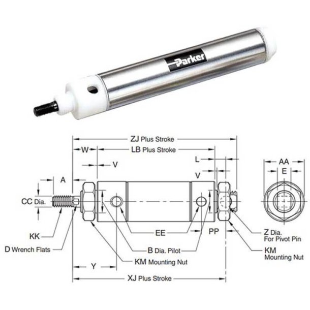 PARKER 0.56DXPSRD11.00