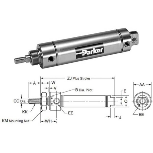 PARKER 0.75DSRGMVY00.50