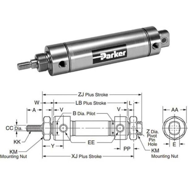 PARKER 0.75DXPSRGMY04.00