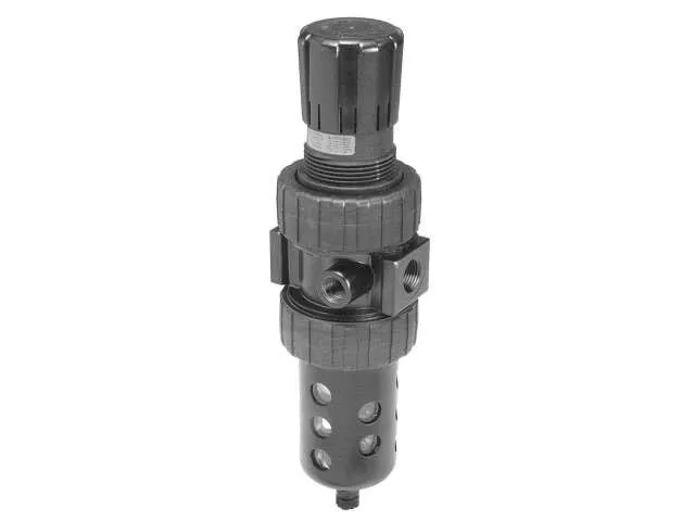 Industrial Filter/Regulator