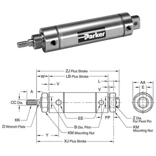 PARKER 1.50DXPSRGY04.50