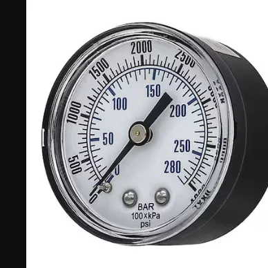 PIC GAUGES SEP-102D-204Q