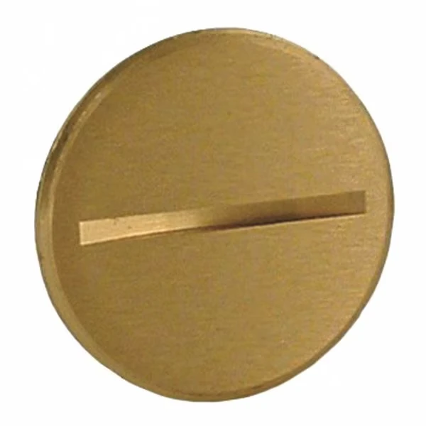 Flush Plug, 2-1/8 Inch Size, 6285 6289 Cover