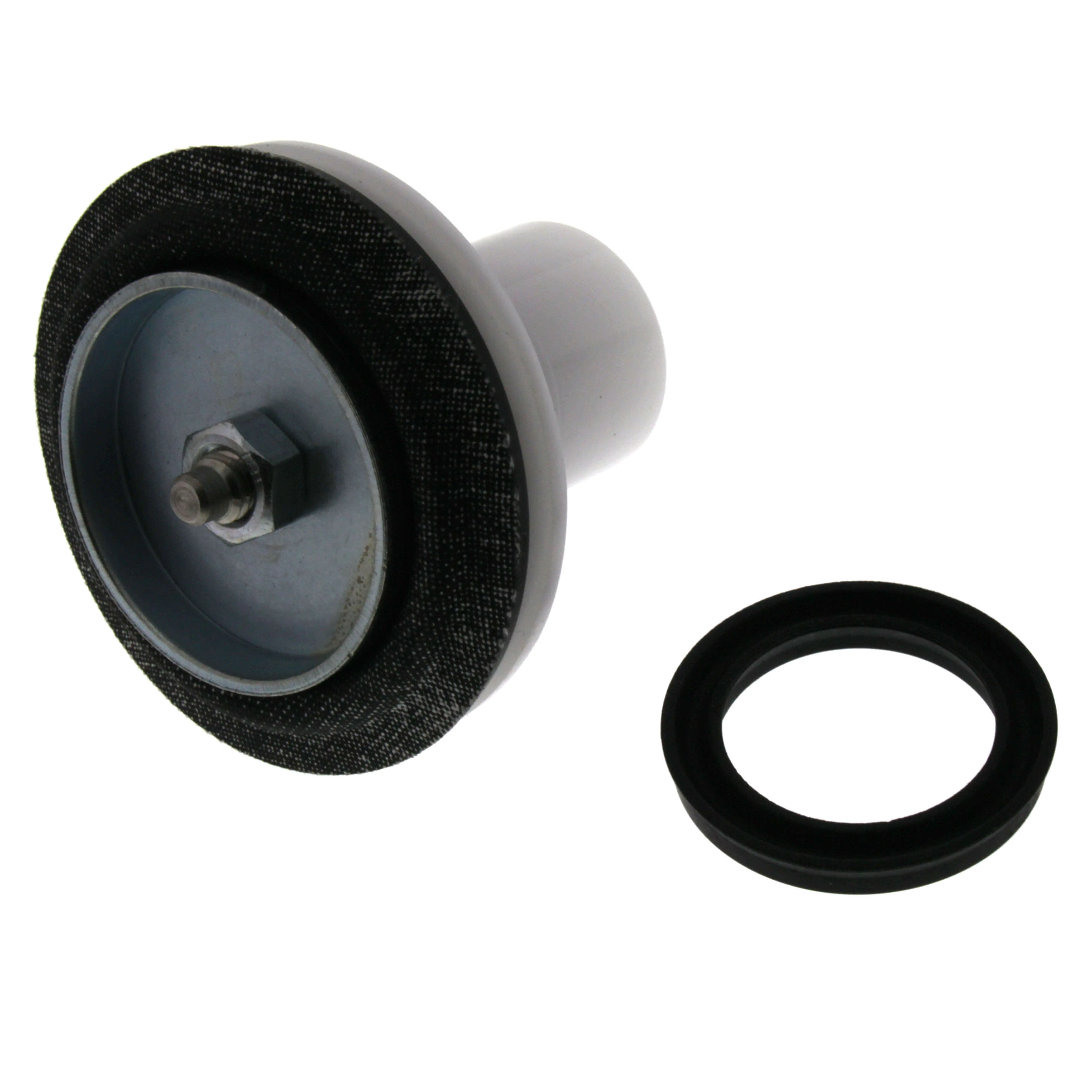 HONEYWELL D06FA-1B Low Lead Pressure Regulating Replacement Valve Insert | BP3WJC