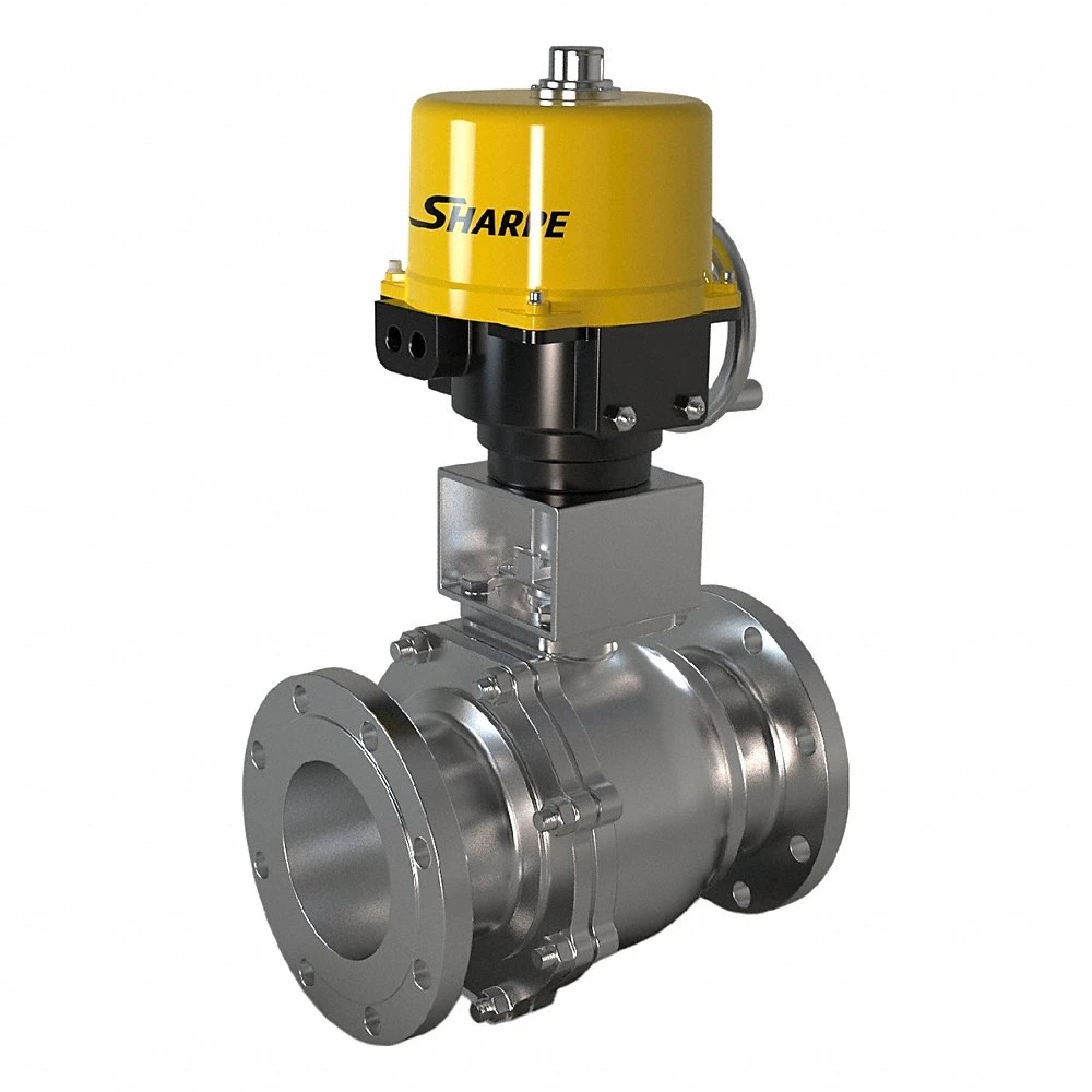 Electrically Actuated Two-Way Ball Valve, 6 Inch, CF8M Stainless Steel, 120V, Two-Piece