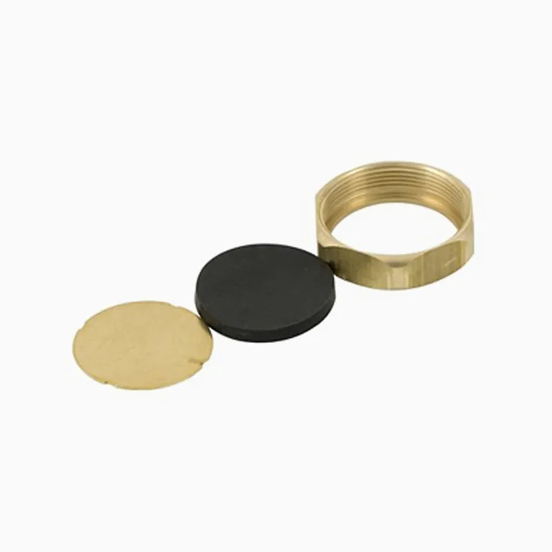 SLOAN 3301093 Valve Handle Cap Kit | BR7TBZ