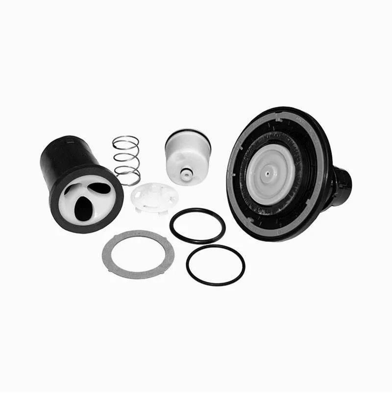 SLOAN 3318013 Repair Kit, 2.4 Gpm Flow Rate | BT3JNY