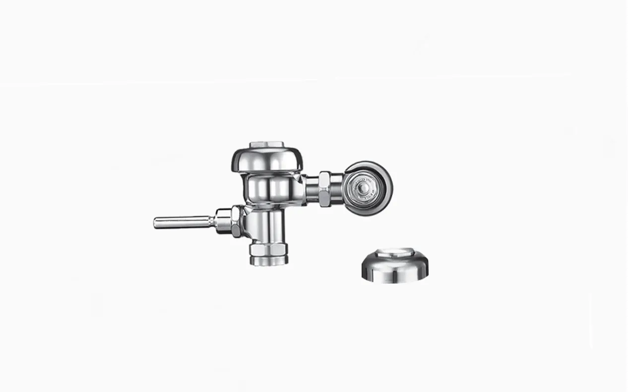 SLOAN 3980080 Manual Flushometer | BT2AEM