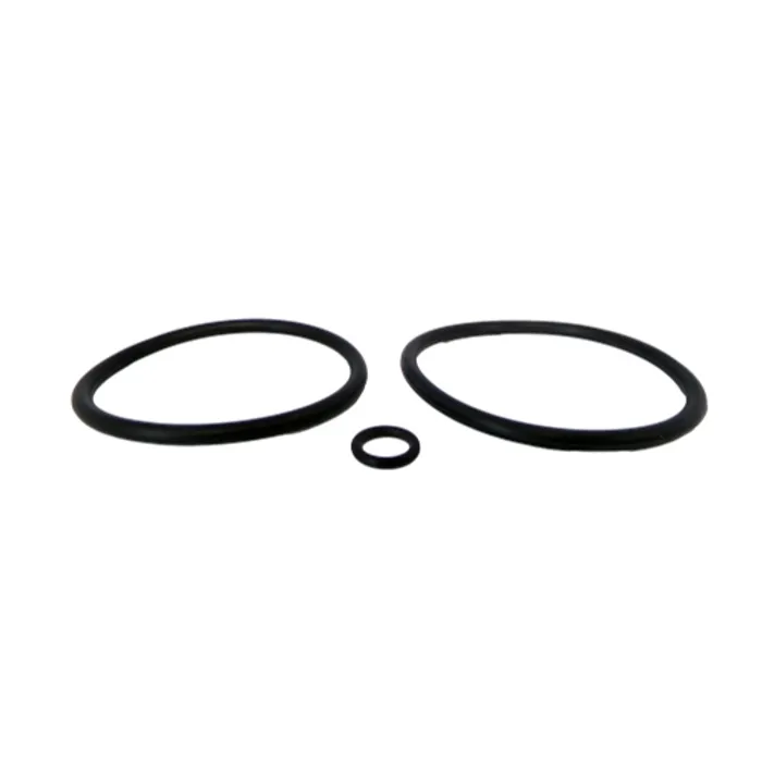 SLOAN 4328467 Repair Kit | BQ2ATJ