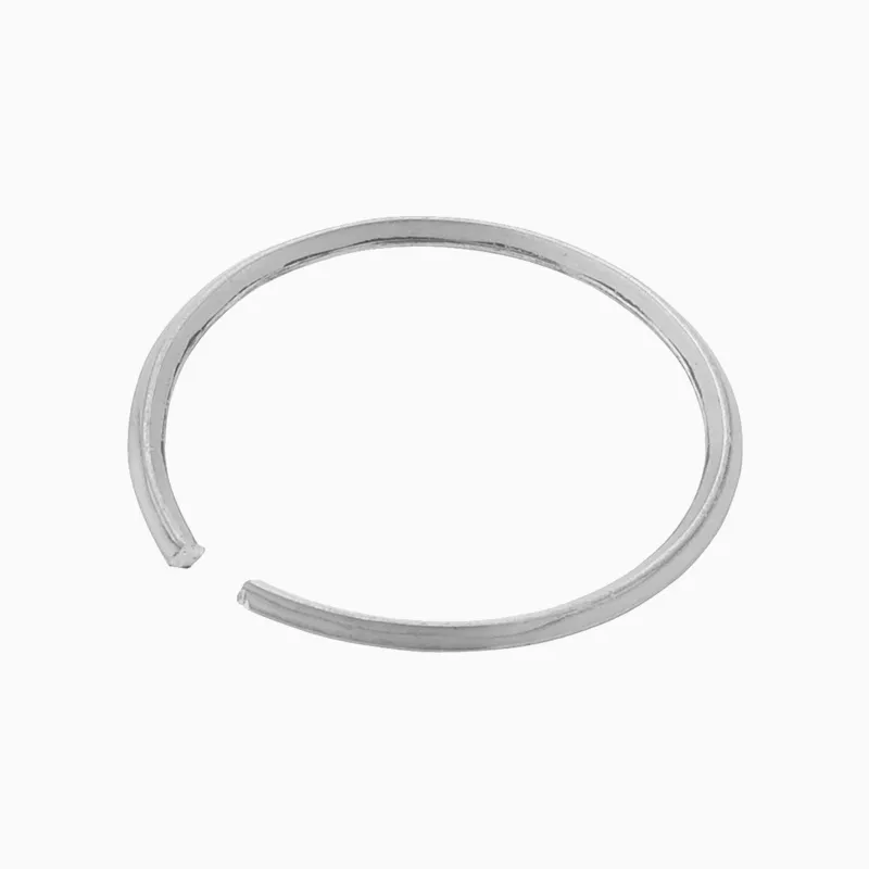 SLOAN 5308934 Tail | BQ7YKV