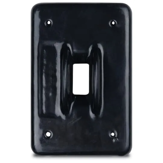 Ocal Switch Cover, PVC Coated Finish, Gray, Malleable Iron, Surface Mounting Type