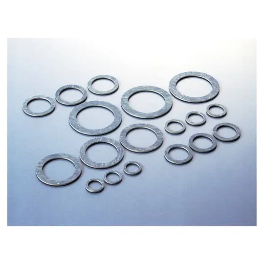PMA Flat Gasket, -50 To 250 Deg C Temp Range, Blue, Nbr, Pg21 Nominal Size