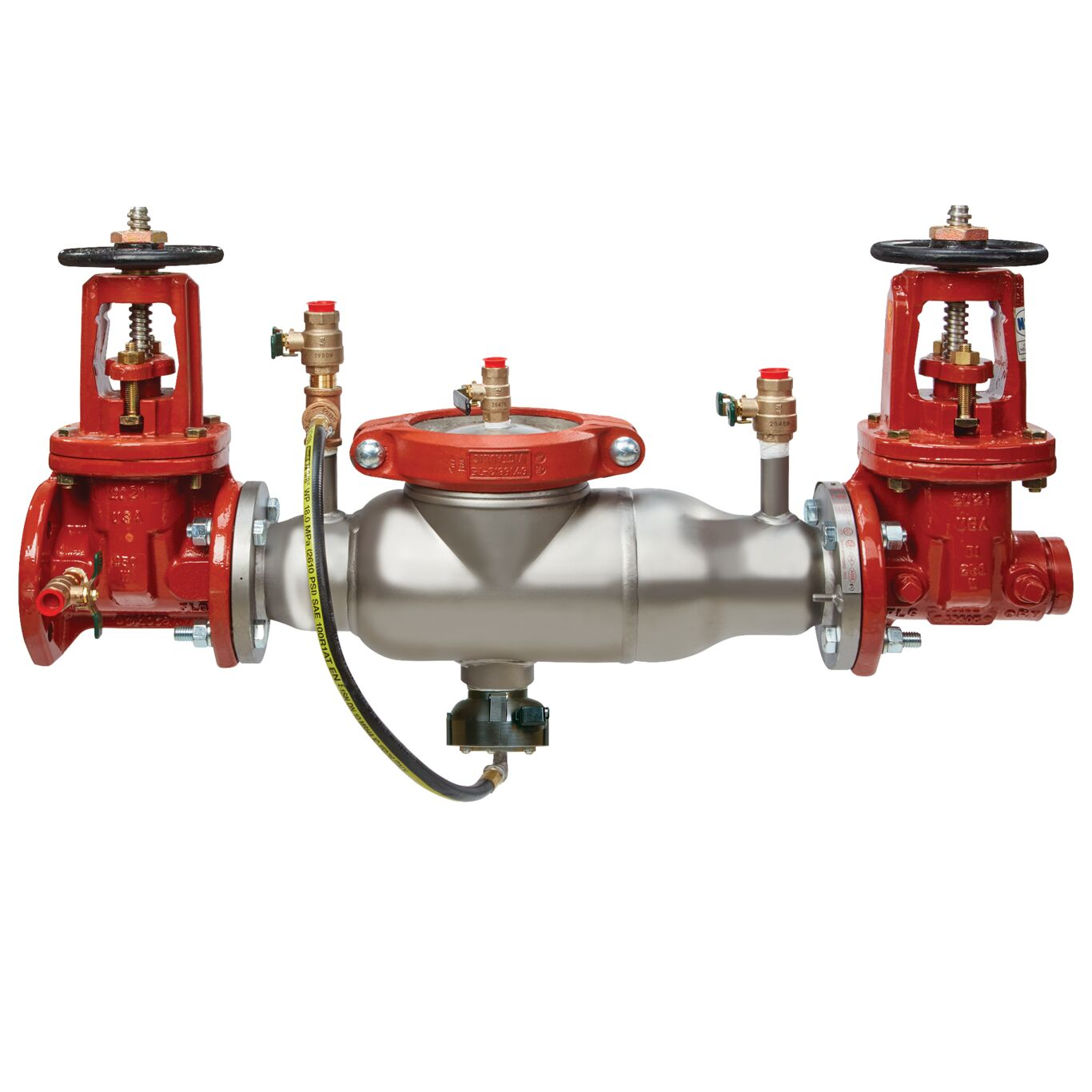 WATTS 4000SS-DOSY-FXG-FS 4