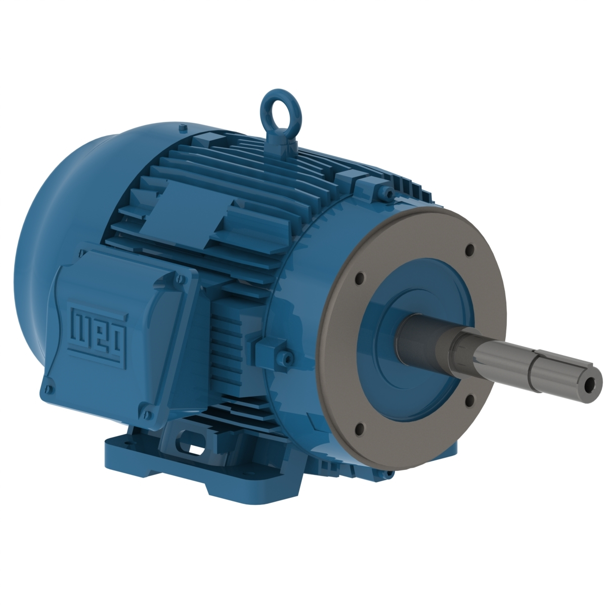 WEG 00512ET3E215JP-W22 Electric Motor, 5Hp, 60Hz, 1170 Rpm | BB8UKP