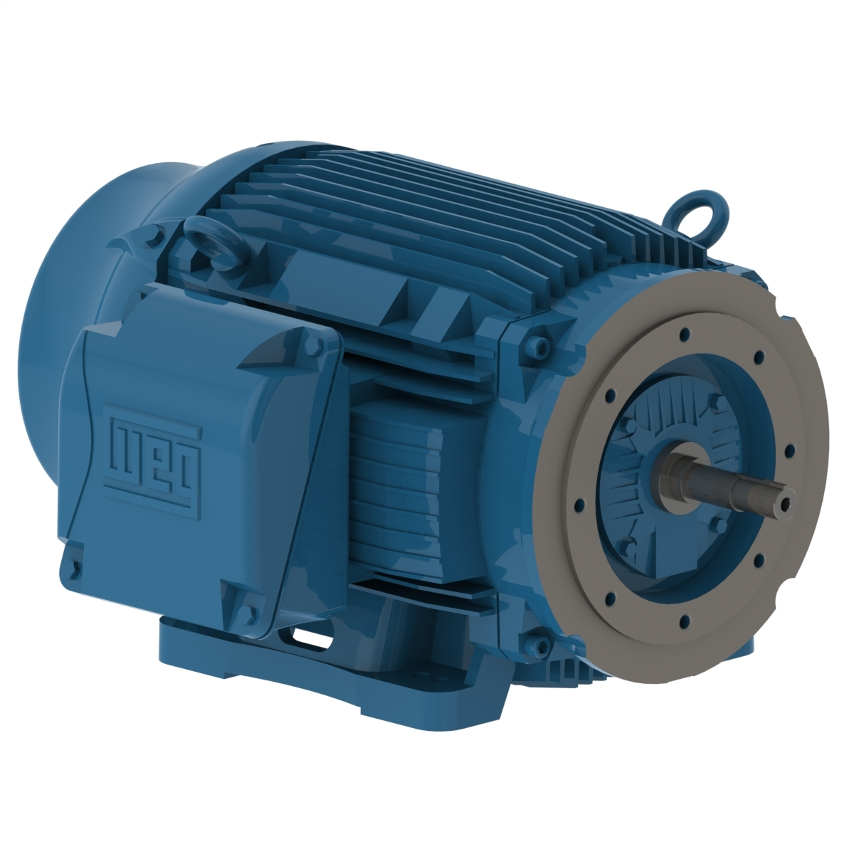 WEG 06018ET3H364JM-W22 Electric Motor, 60Hp, 60Hz, 1800 Rpm | BC2BBK